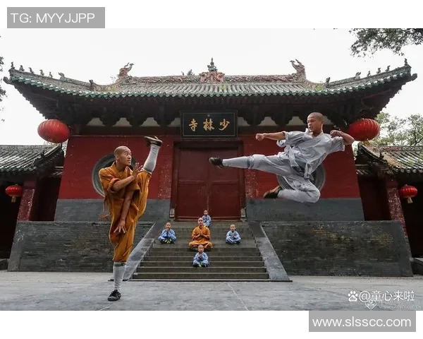 【功夫郑州奇遇记】八旬非遗传承人，让陈旧“心意”开放重生！